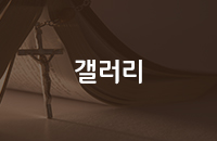 갤러리